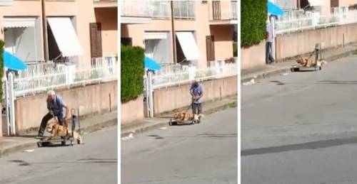 Il video che commuove l'Italia: anziano porta a spasso cane malato