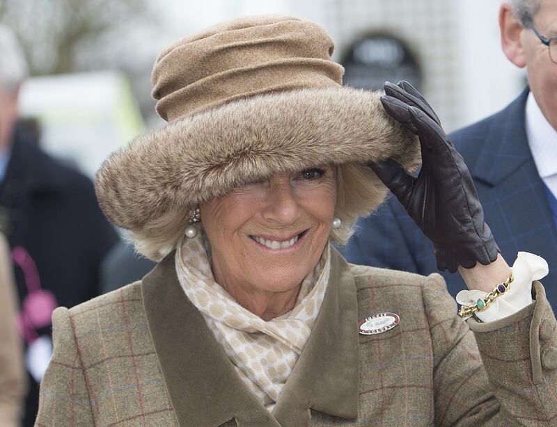 Camilla Parker Bowles, dottorato honoris causa 1