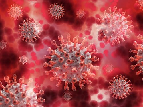 Molnupiravir, farmaco anti-Covid ha creato varianti? Cosa dice lo studio