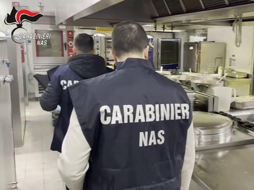 I controlli del Nas nelle mense scolastiche: topi, blatte, cibi non tracciati. I dati choc