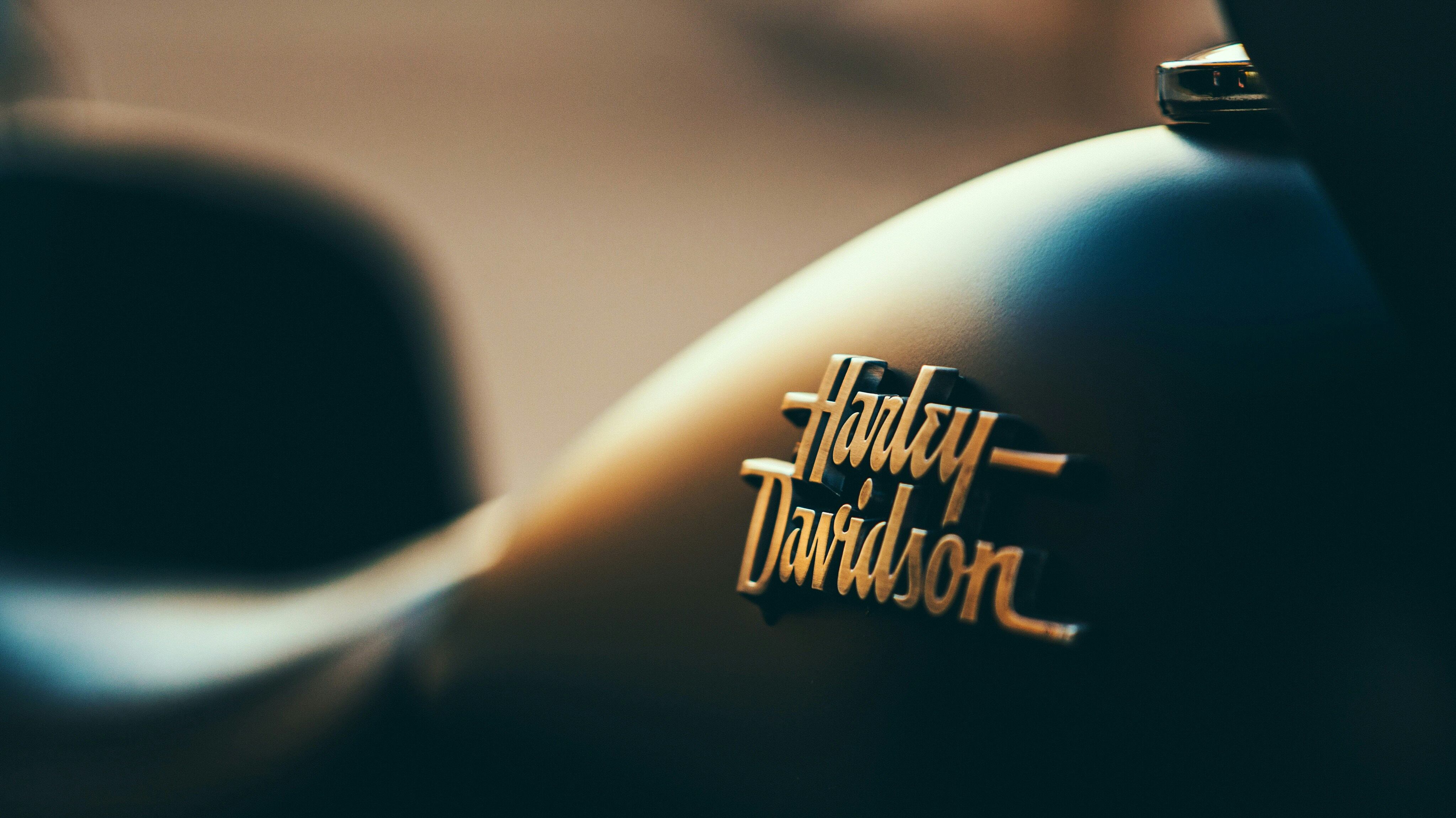 Pure Harley e Levi’s nel mirino europeo