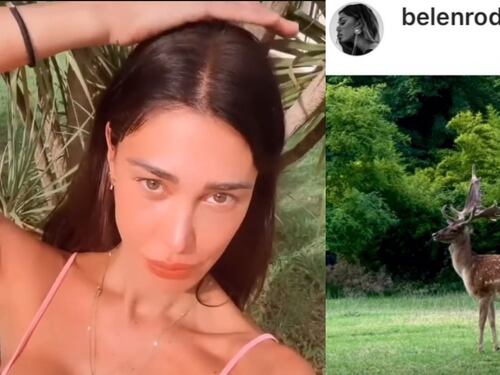 Le "corna" sulla testa, il video dei cervi: così Belen spiazza tutti sui social