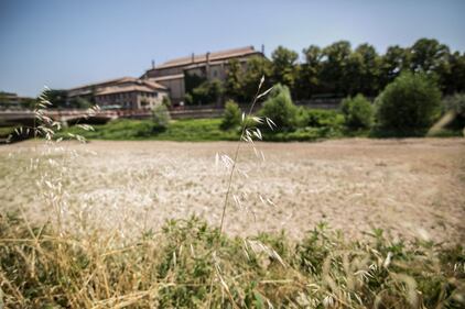 Siccità, stato d'emergenza a Parma 16