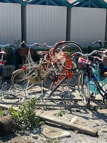 Suv sulla spiaggia a folle velocità: l'incidente a Forte dei Marmi 1