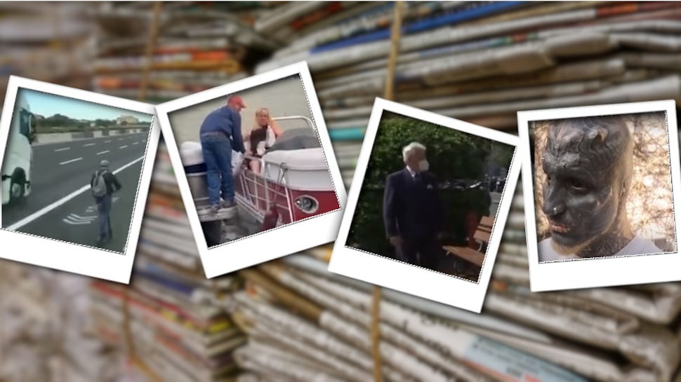 L'alieno e la gang di pappagalli: sette giorni di 'follia' sui giornali