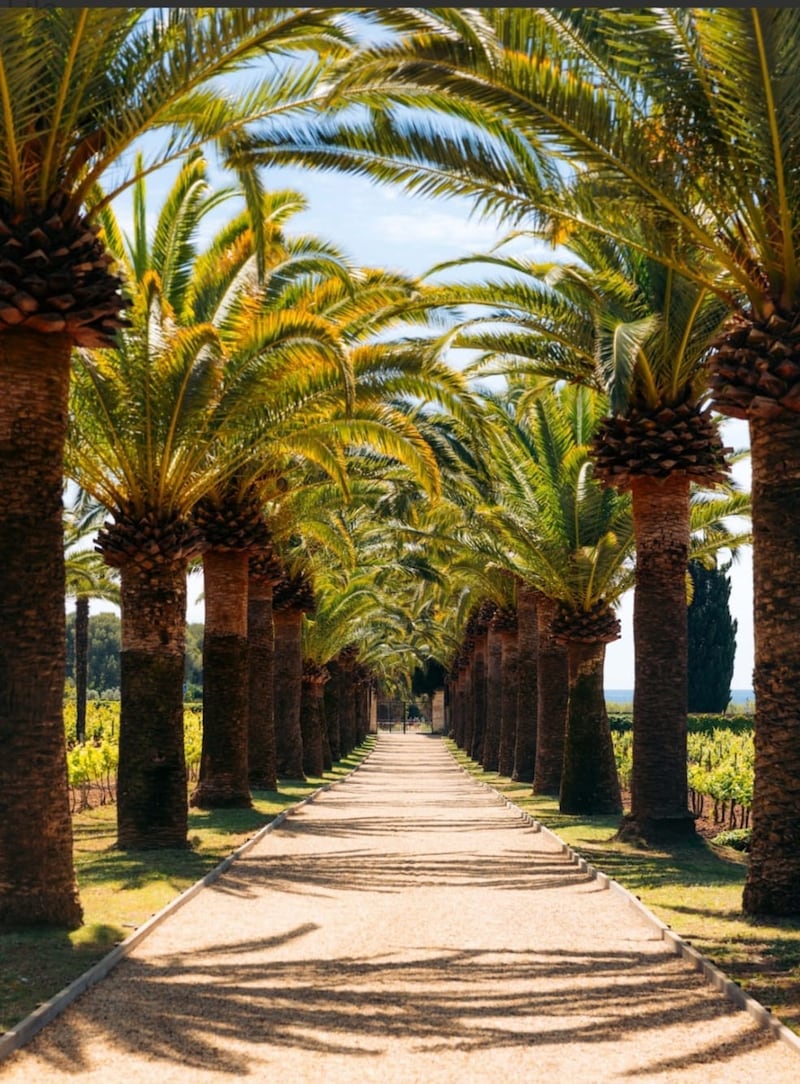 CHÂTEAU DE VALMER- RELAIS & CHÂTEAUX- SAINT-TROPEZ