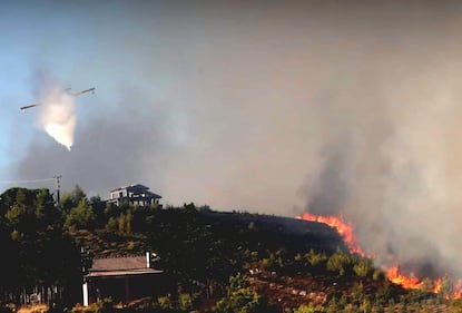 Incendio in Grecia 5