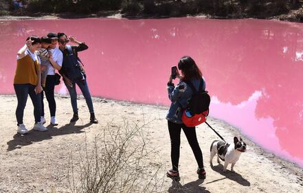 Lago australiano rosa: le foto 1
