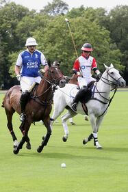 Meghan Markle e Archie alla partita di polo: foto 8