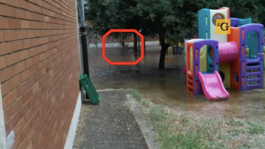 Roma, bimbi della materna 'ostaggio' di un branco di volpi