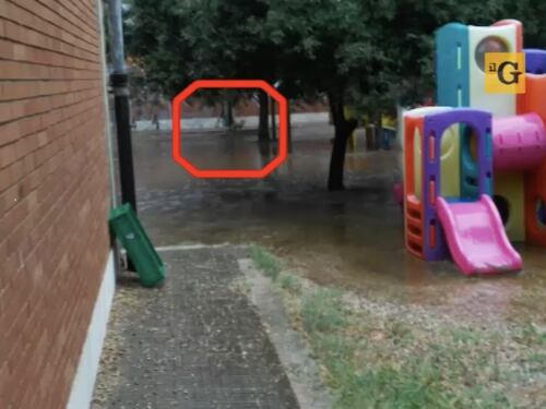 Roma, bimbi della materna 'ostaggio' di un branco di volpi