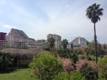 Periferie d'Italia, viaggio a Scampia 10