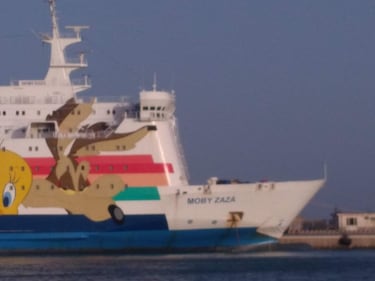La nave Moby Zaza a Porto Empedocle 5