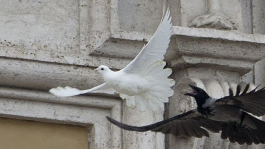 "I corvi? Erano insospettabili. Poi ci fu quello strano furto..."