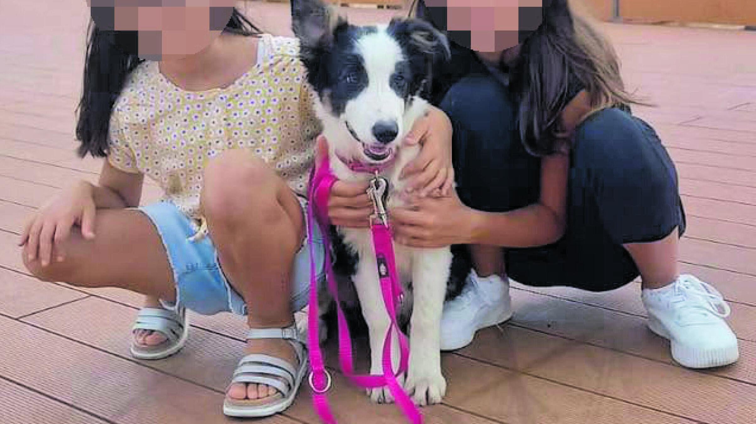 Faida tra ex, 10 schede sim e il piano nato in "famiglia". Ecco la rete per farle sparire