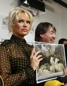 Pamela Anderson contro il foie gras 7