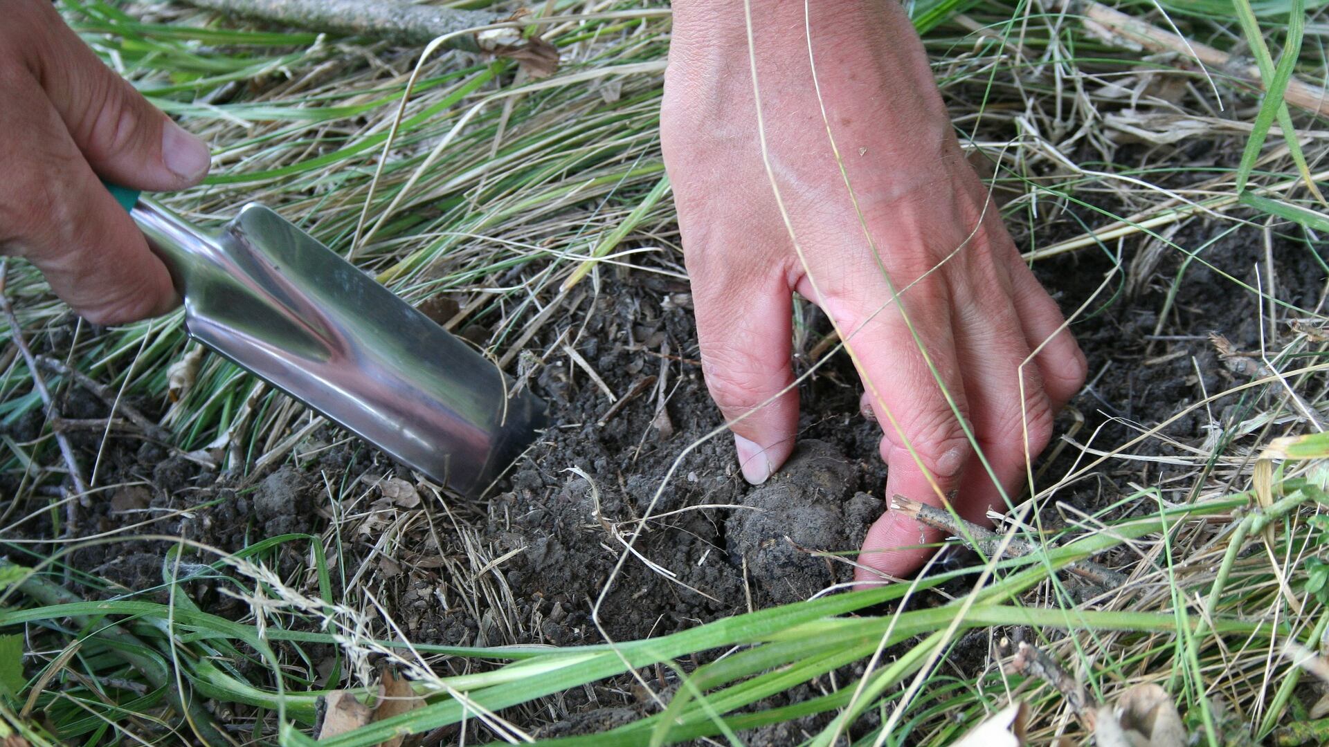 Il tartufo scomparirà fra poche generazioni