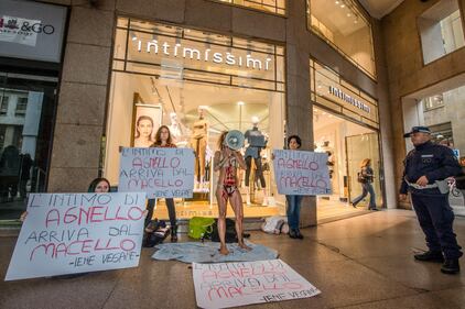 Iene Vegane protestano contro Intimissimi 5