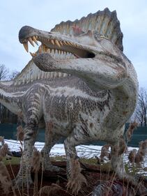 Dinosauri in carne e ossa alla Reggia di Monza 4