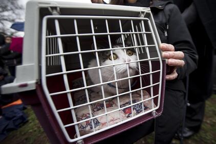La Boldrini col gatto "Gigibillo" alla Festa degli animali 2