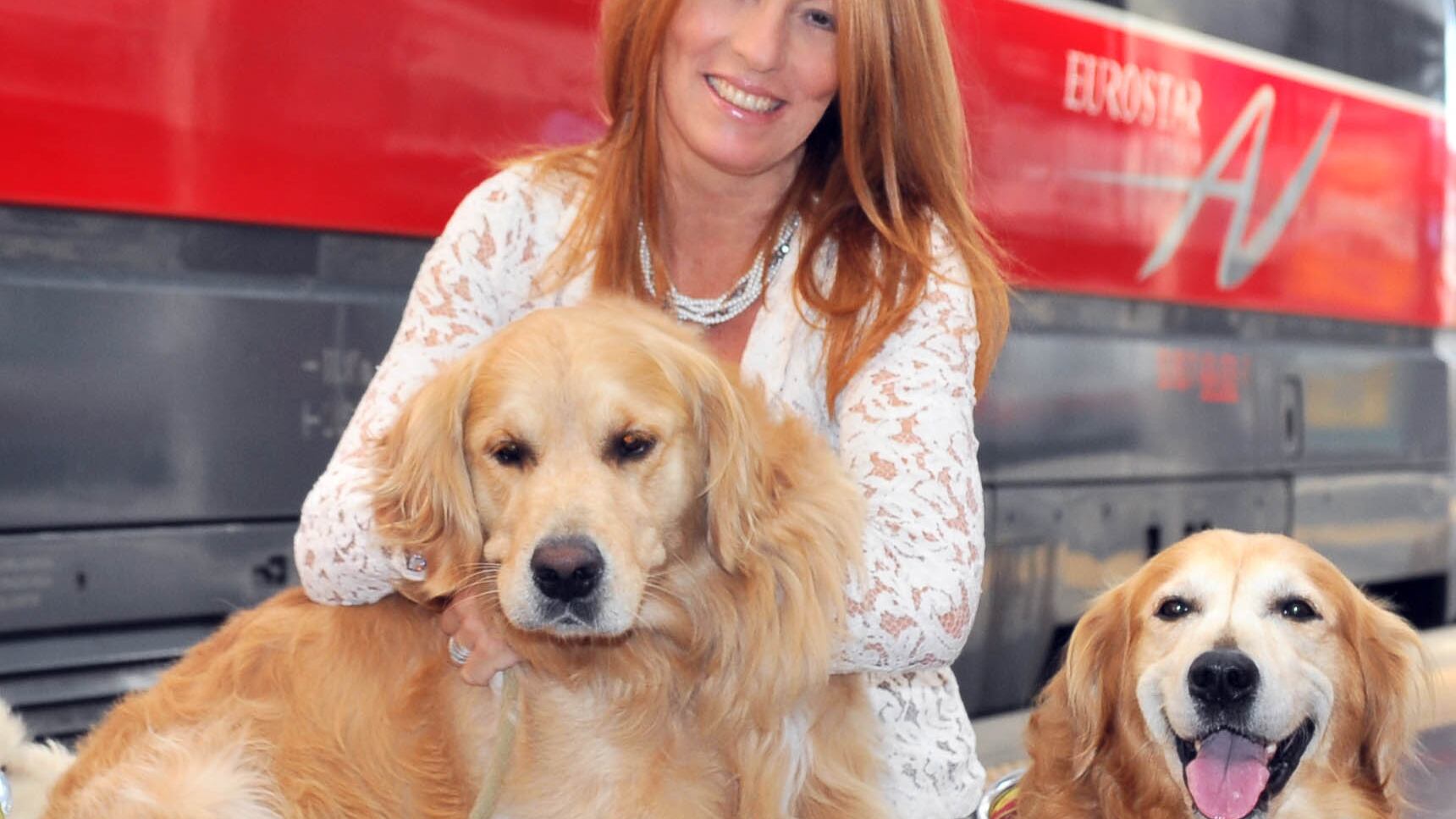 Una legge bestiale restituisce i cani salvati a chi li ha maltrattati