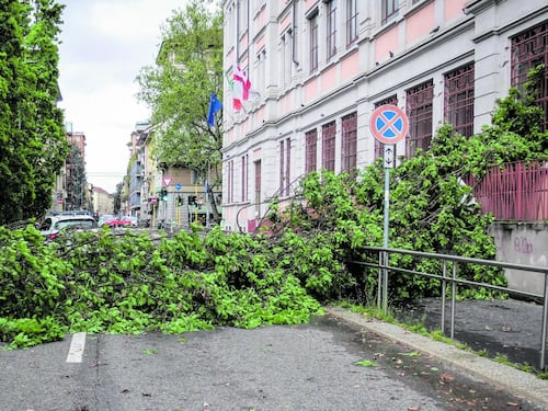 Pioggia e vento, città in allerta. Alberi sulle auto, danni e disagi
