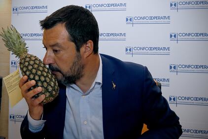 Salvini e l'ananas al seminario di Confcooperative 1