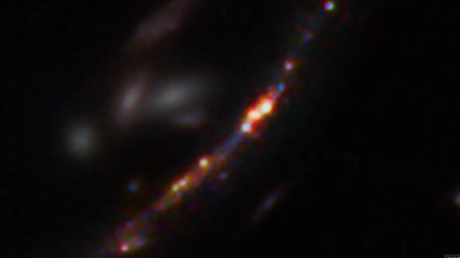 Cosa rivela Firefly Sparkle sull'universo (e anche su di noi)