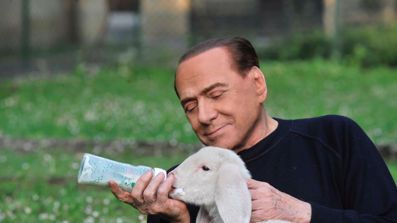Aidaa: "Berlusconi ha salvato 10mila agnelli dalla macellazione"