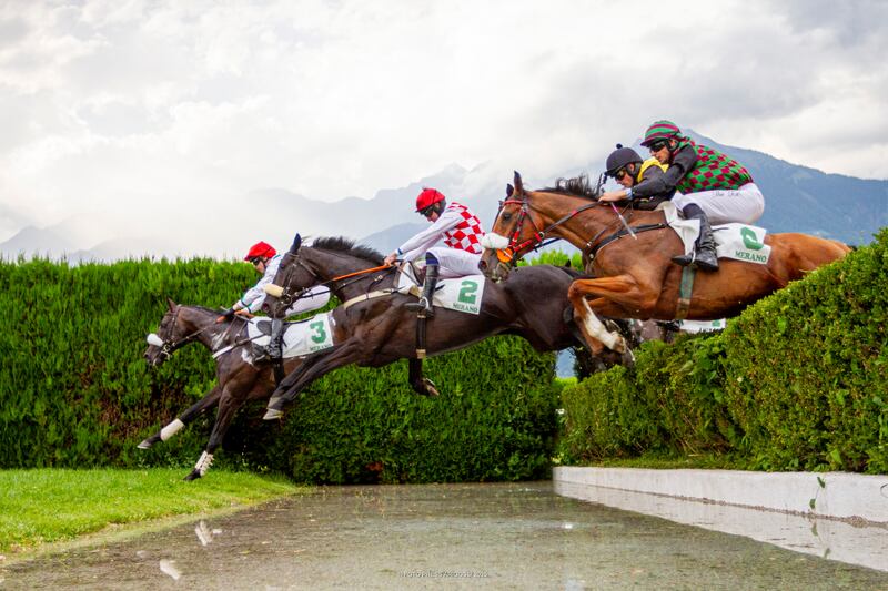 Le siepi di Merano (f.te fotopress Arigossi)