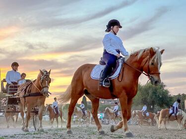 La prima esibizione del Carosello del San Raffaele al Apprezzata e applaudita la perfomance del Carosello del San Raffaele al Longines Global Champions Tour 1