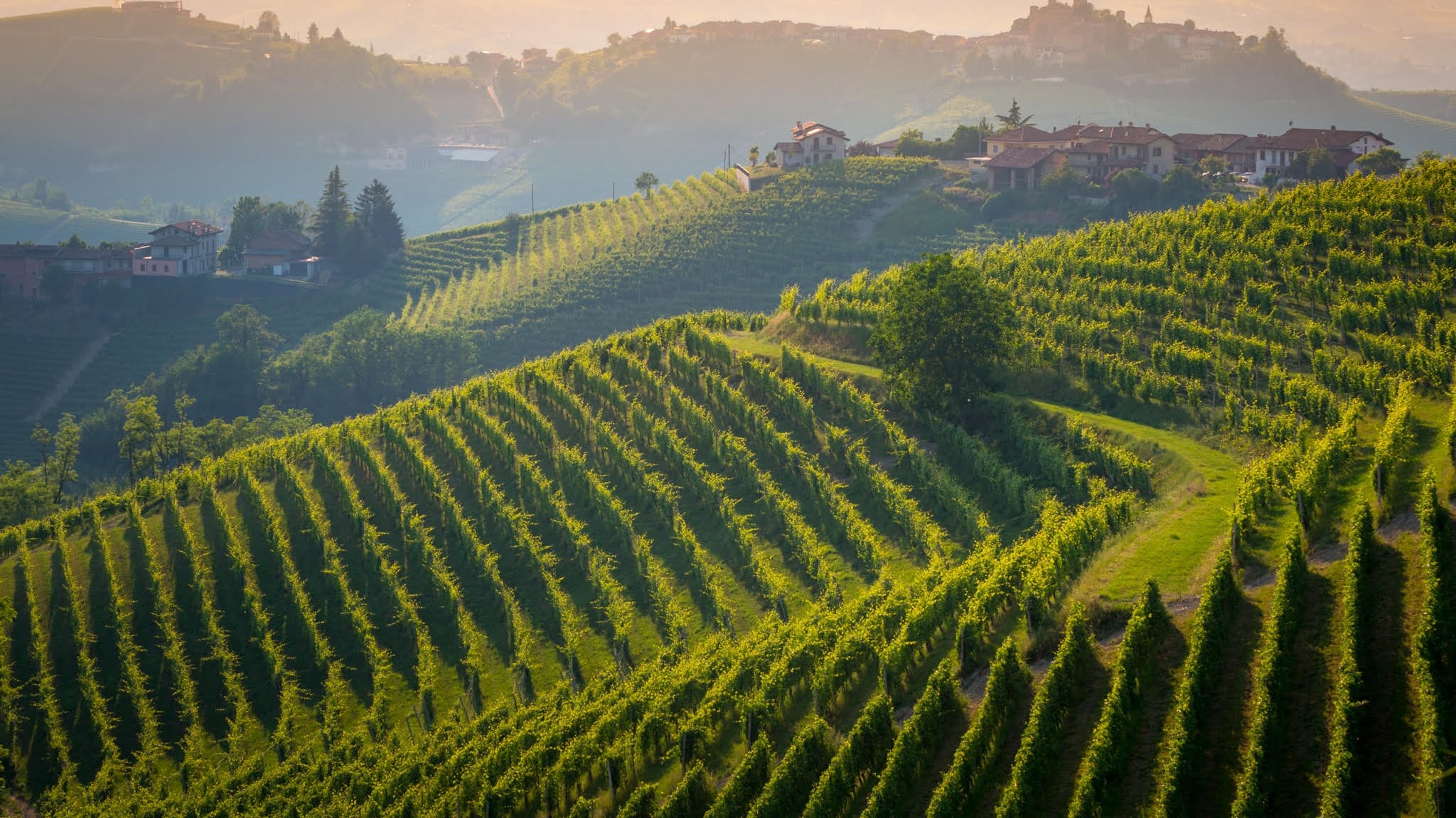 Parusso, in ascolto del Barolo