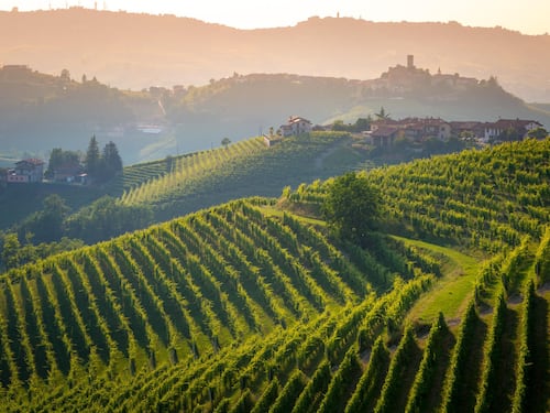 Parusso, in ascolto del Barolo