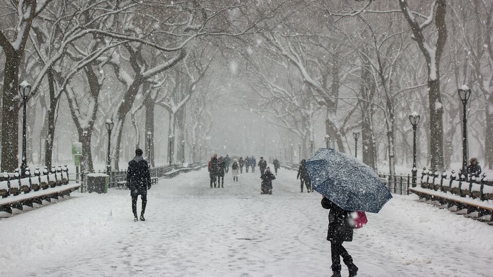 Freddo record Usa, 21 morti: New York e Chicago nella morsa del gelo