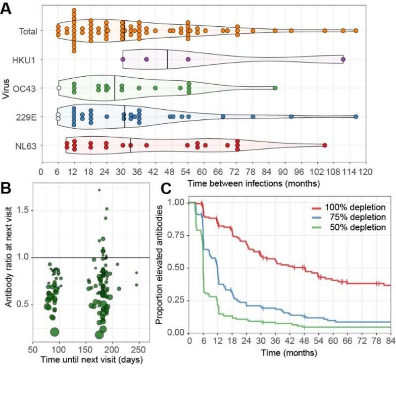 Caratteristiche d'infezione e perdita di anticorpi nel tempo