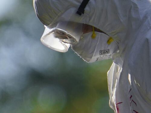 Rischio aviaria anche sull’uomo? Cosa c’è da sapere sulle mutazioni del virus