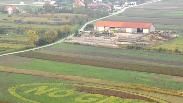 Ogm vietati in Italia