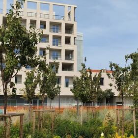 Manutenzione del verde al 'Parco 8 marzo' di Milano 5