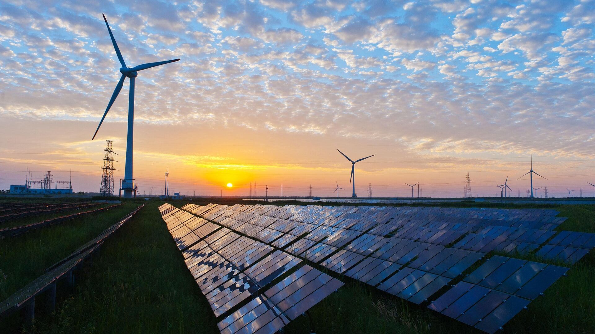 Le città "stravolte" dalla sfida green: cosa sta per cambiare