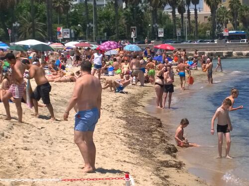 Allarme alga tossica in Puglia: sempre più città a bollino rosso
