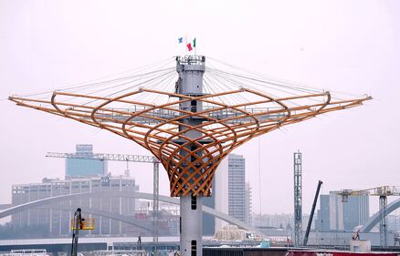 L'albero di Expo mette la chioma 14