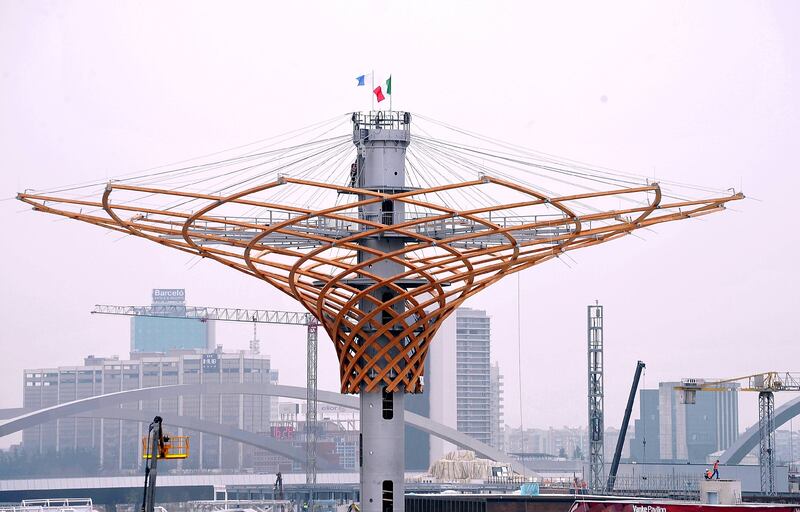 L'albero di Expo mette la chioma 14