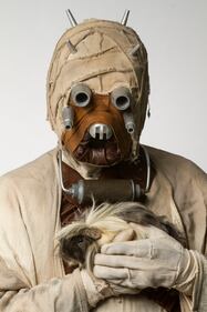 I personaggi di Star Wars per l'adozione degli animali 1