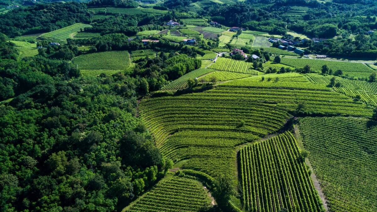 Il nostro Vinitaly 2024. I rossi/1