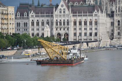 Continua la ricerca dei turisti dispersi nel Danubio 9