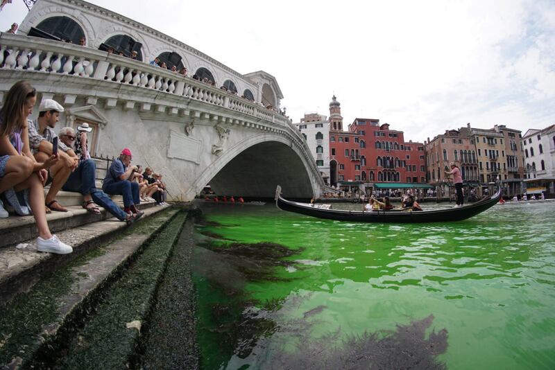 A Venezia l'acqua del Canal Grande diventa verde: le immagini 5