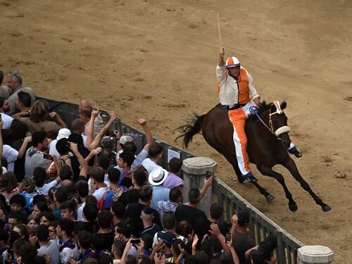 Siena, i mille trucchi e tradimenti del Palio