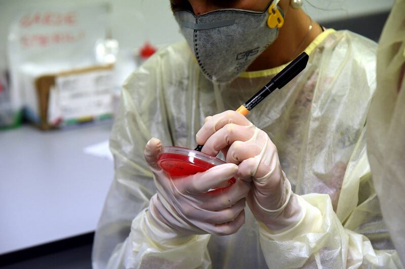 Al Policlinico Sant'Orsola di Bologna si testano le mascherine (Fotogramma)