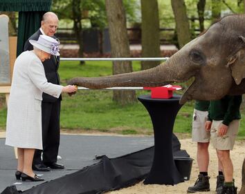 La Regina Elisabetta va allo zoo a vedere gli elefanti 4