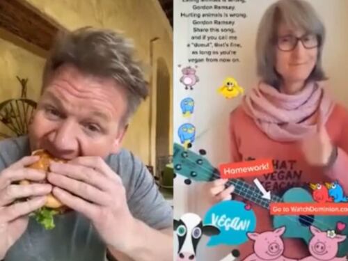 "Mangiare gli animali è sbagliato". Gordon Ramsay zittisce la vegana così